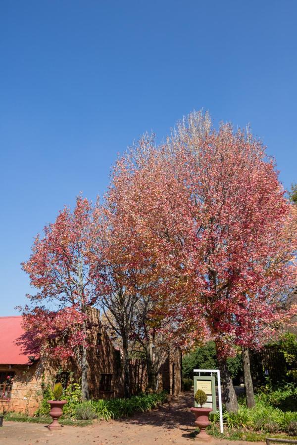 Hotel Critchley Hackle Dullstroom Exterior foto